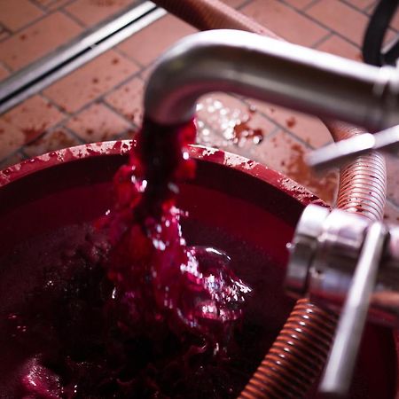 Вилла I Dolci Grappoli Larino Экстерьер фото